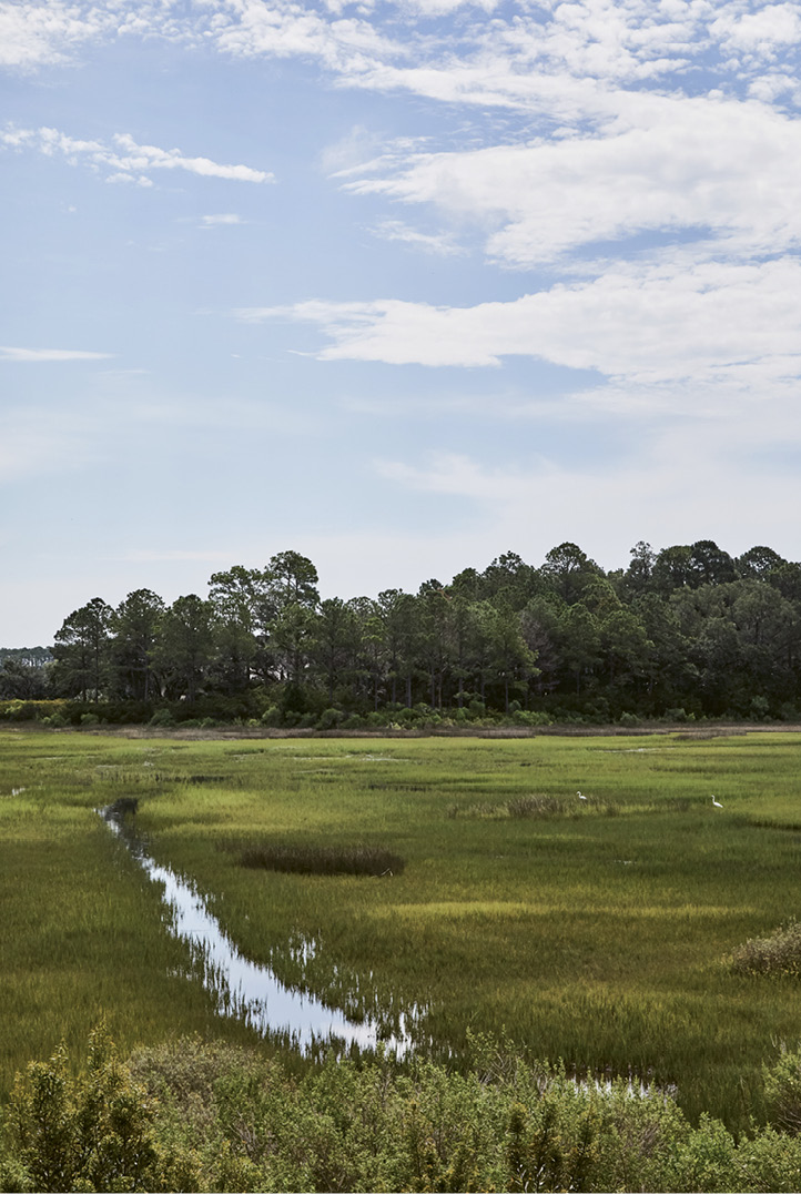With a lot overlooking a tidal creek as well as the private community’s Tom Watson-designed golf course, the couple wanted the focus to be on the outdoors. “It’s such a beautiful setting,” says the mother. “We watch folks fly-fishing, wildlife in the marsh, and golfers on the greens. It’s all so very relaxing.”