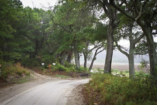 A sandy path leads to the island’s northern tip, where clamming adventures, and resulting muddy knees, await.