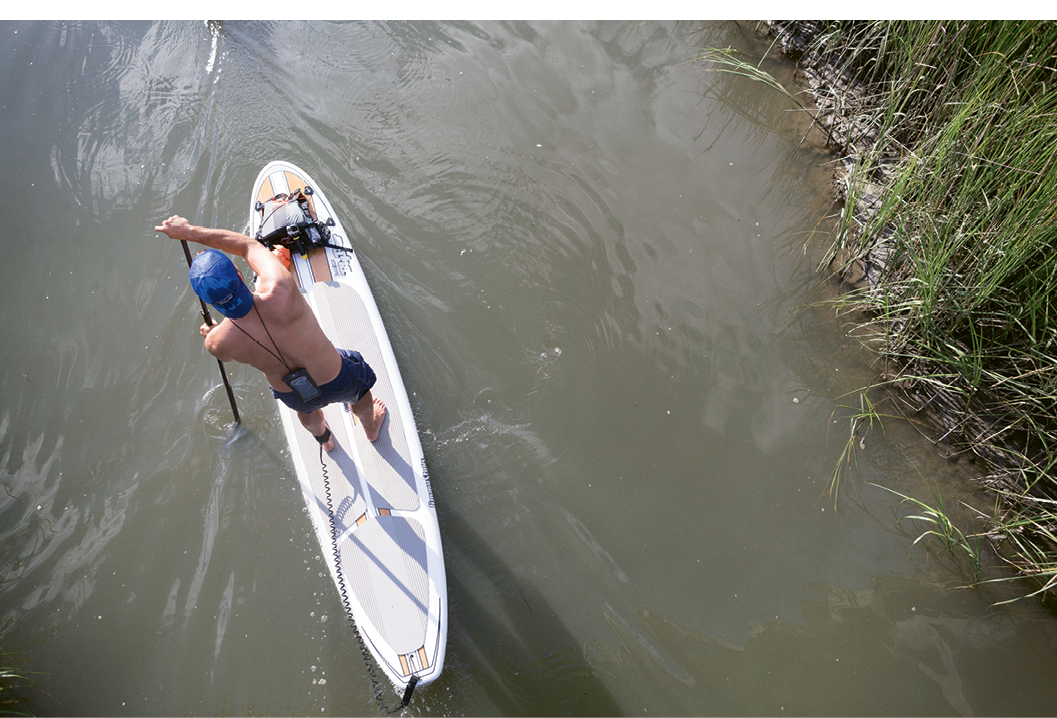 Charleston Waterkeeper’s testing reveals that Shem Creek regularly does not meet the state’s water quality standard for safe swimming.