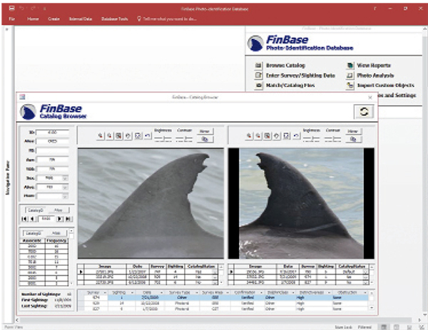 FinBase database