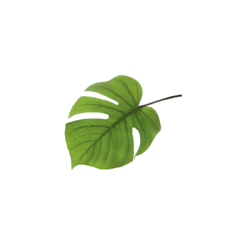 Keep the look fresh with vibrant foliage clippings from  your yard.