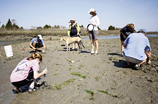 Dense and oozy pluff mud holds dinner delicacies—abundant clams—rounded out with crabs caught at the impoundment dock