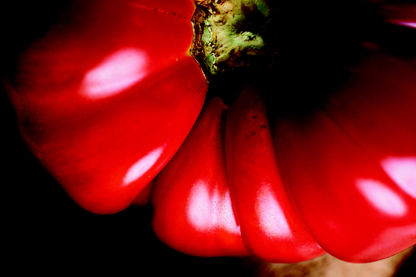 Costoluto Genovese