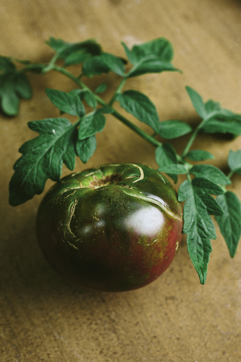 Black Krim