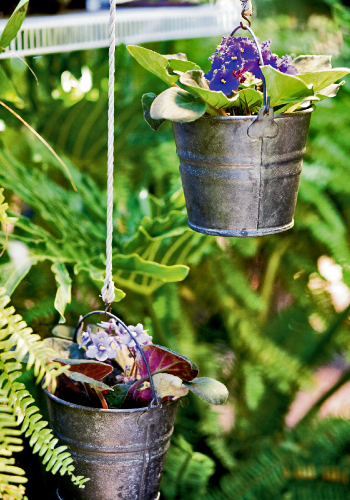 dangling_flwrs_0_0.jpg