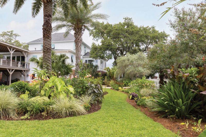 Island Life: A pair of Sylvester palms rustle over a mix of tropical plants, pollinator-friendly perennials, and grasses such as Platinum Beauty lomandra, which headlines one side of the bed.