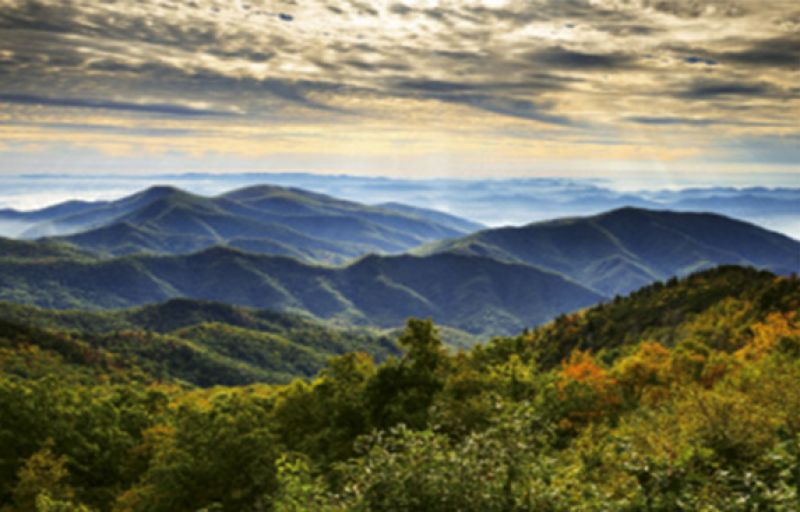 Summer Survival: “Stay inside, and escape to the mountains if you can.” —Hope