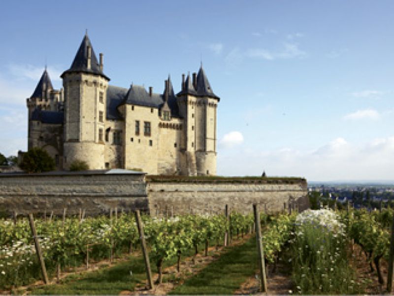 Deserted Island Wine: “If I could only have one kind of wine, it would be from the Loire Valley. Still, bubble, dry, sweet, reds, whites—they run the gamut.”
