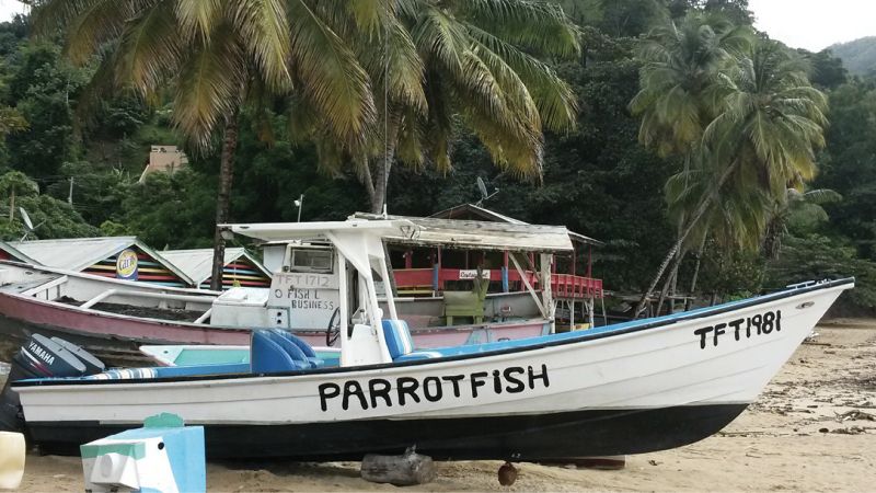 Boats on the beach in Tobago.