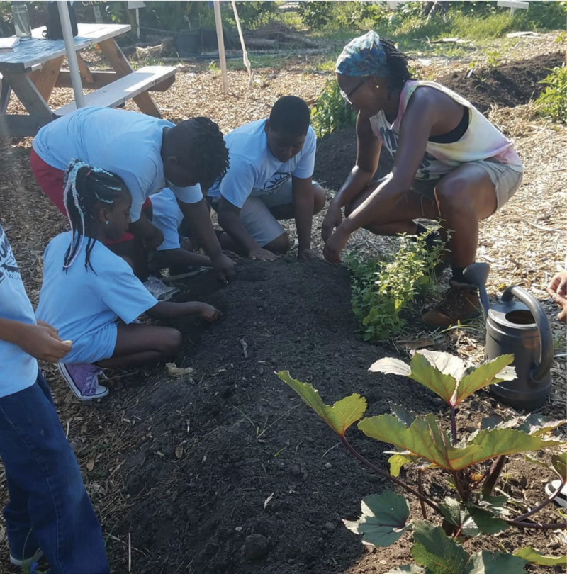 School kids come to Fresh Future Farm to get their hands dirty...