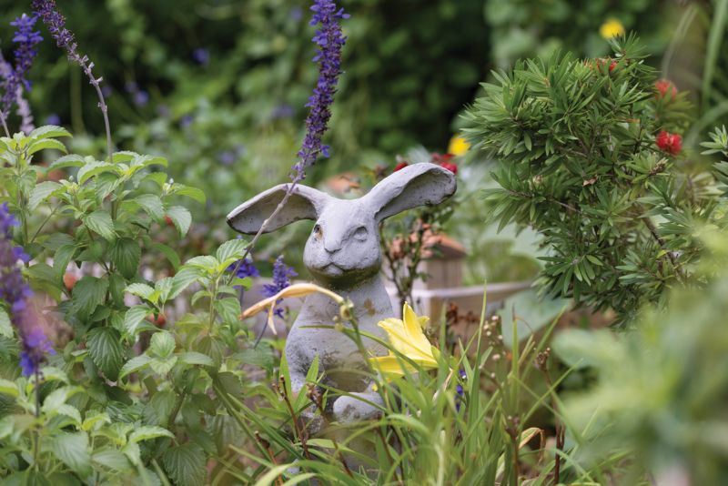 Hidden Treasures: Rabbit statues gifted by friends and family are tucked throughout the garden.