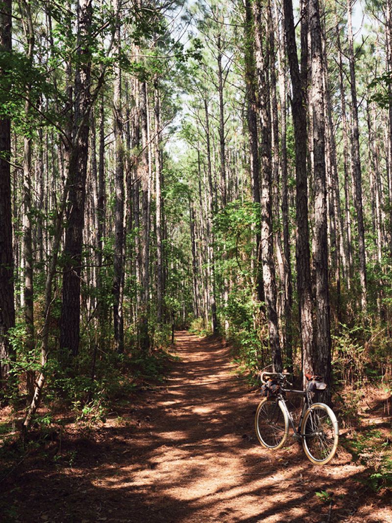The Awendaw Passage of the Palmetto Trail.