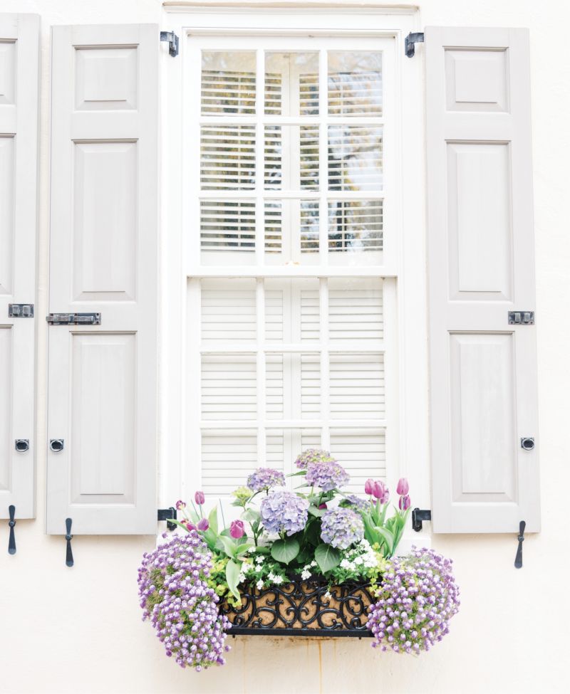 Pretty in Pink: And purples and whites—an overflowing window box on Tradd Street