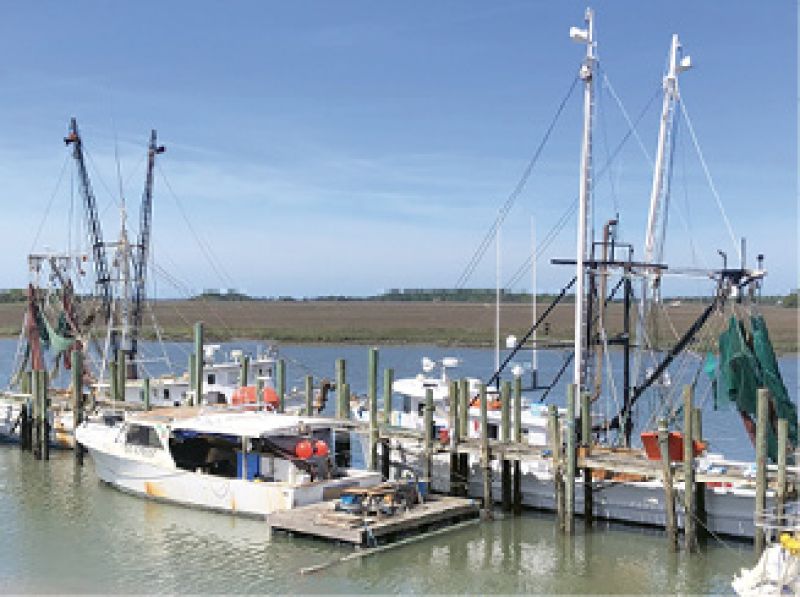 Freshest Catch: “Best days to go to Crosby’s Seafood are when ‘The boat is in’ sign is up. It means their fishing boat just got back.”