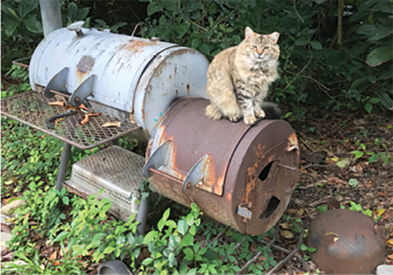 Old Rusty:  “I’ve always loved my Oklahoma Joe grill—you can smoke and grill on it. It’s all cast iron and rusty as hell.”