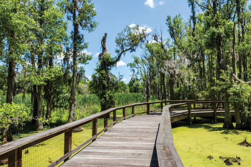 Audubon Swamp Garden at Magnolia Plantation