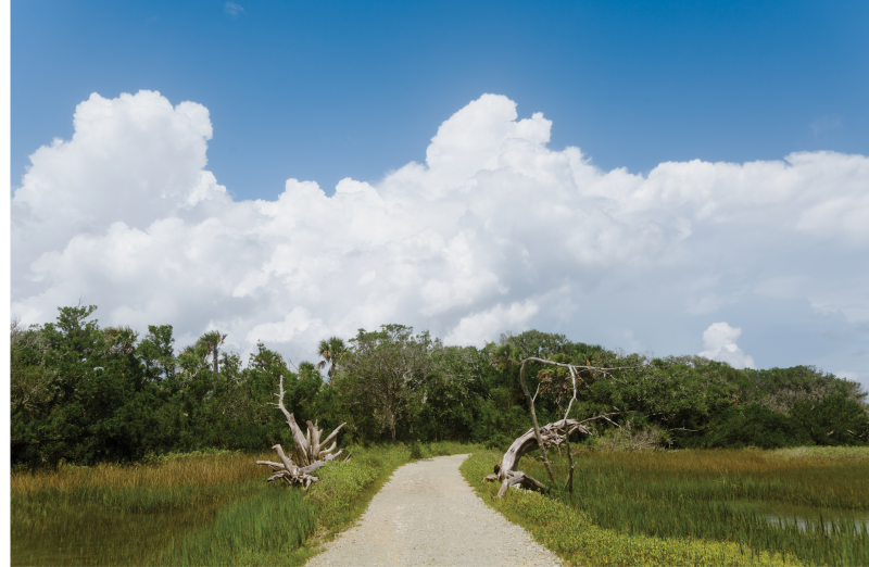 Botany Bay Plantation Heritage Preserve