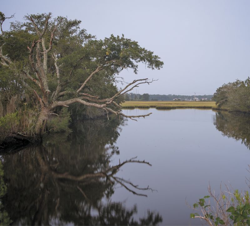 One of many creeks along Highway 17 South.