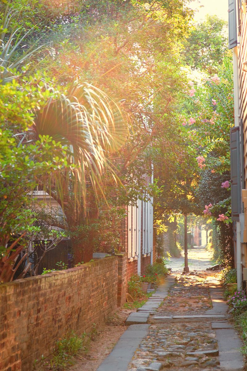 Longitude Lane