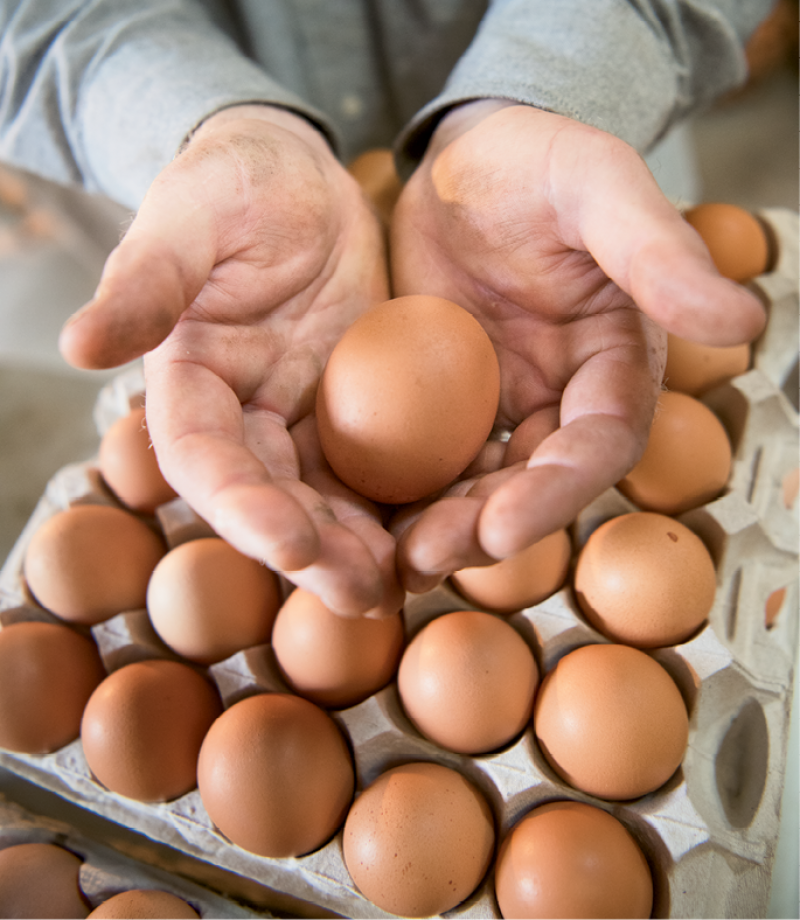 Crates transport eggs to restaurants.