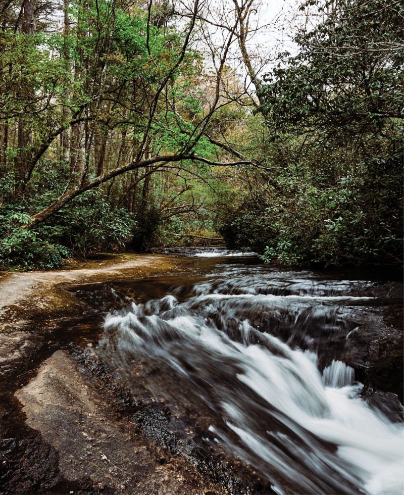 Land of Waterfalls:  Pinky Falls near Skyline Lodge isn’t the tallest or most dramatic, but its rushing water offers a beautiful, calming respite.