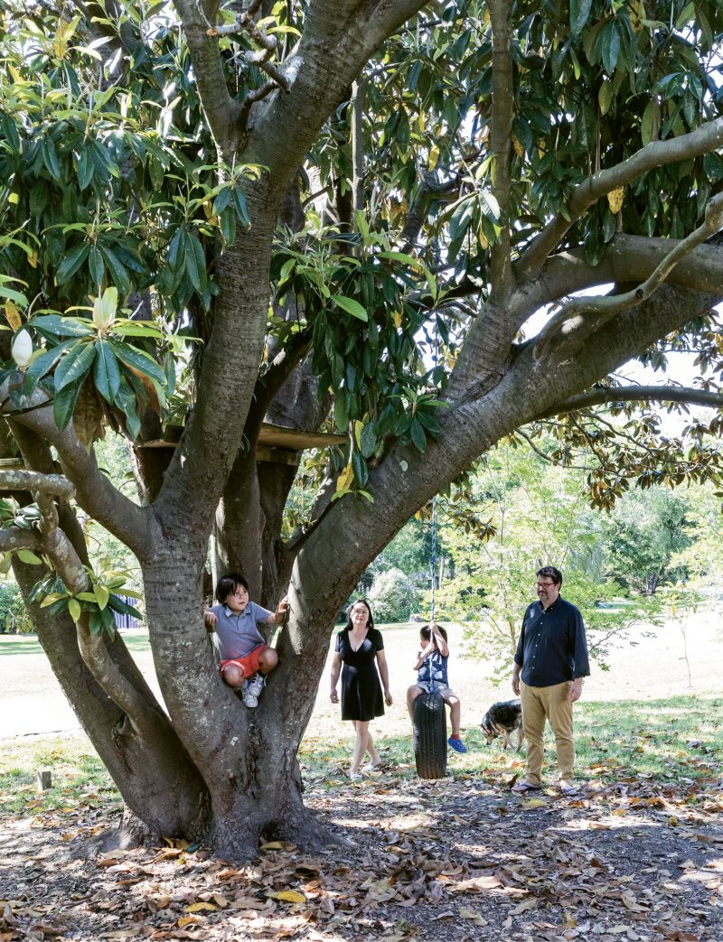 A massive magnolia is one of many established trees that flourish in Wong and husband John David Harmon’s yard. The 12 fruit trees provide inspiration for Wong’s work and a playground for her boys.