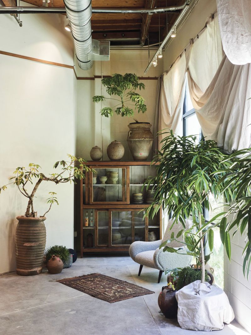 The Plant Daddies’ shop opened in Platform in Culver City this spring.