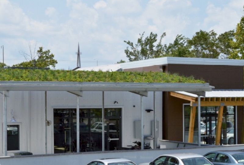 A Half Mile North green roof