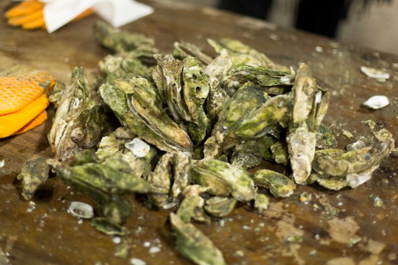 Oyster shells: evidence of a feast enjoyed by all