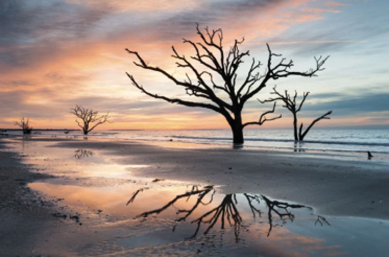 Jurassic Park: “I discovered Botany Bay this summer. With the trees down in the water and all the pelicans, it’s like the humans are gone, and the dinosaurs are returning.”