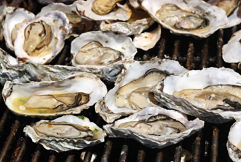 Thanksgiving Tradition: “Oysters: every year, we roast them at my sister’s house or mine for a very laid-back first course.”