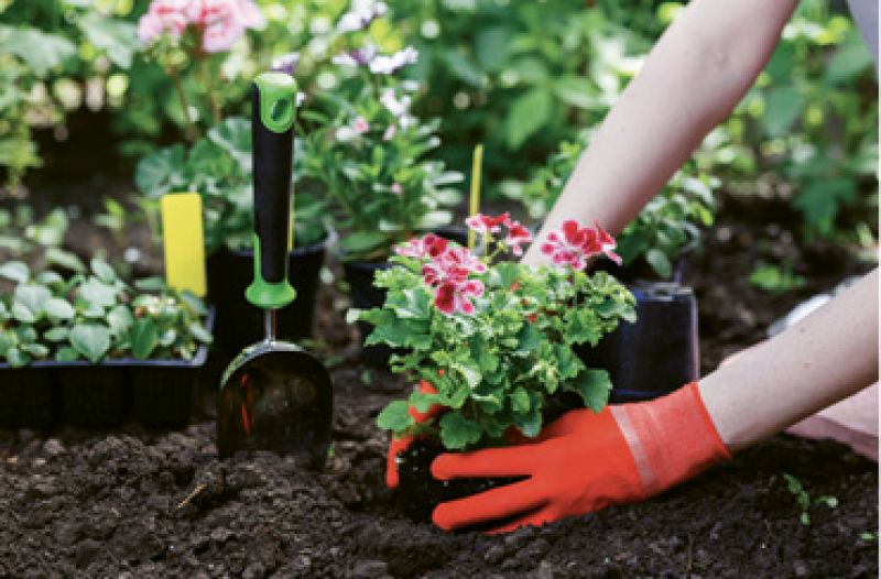 Green thumb: “I really like to garden—even when it’s oppressively hot outside. I’m also mildly obsessed with monstera.”